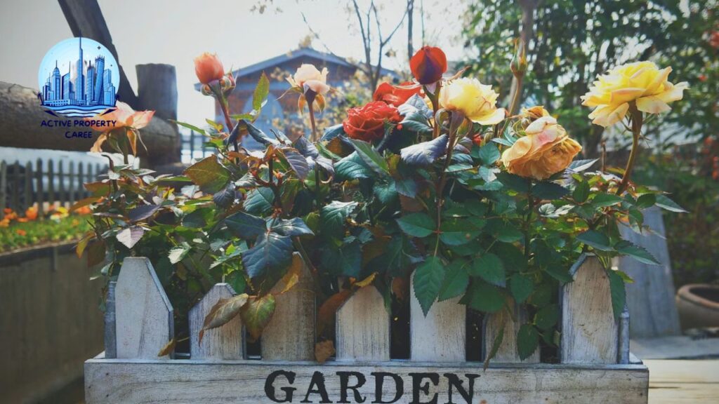 Garden Guide Homenumental A Practical, Human-Centered Guide to Building a Meaningful Home Garden